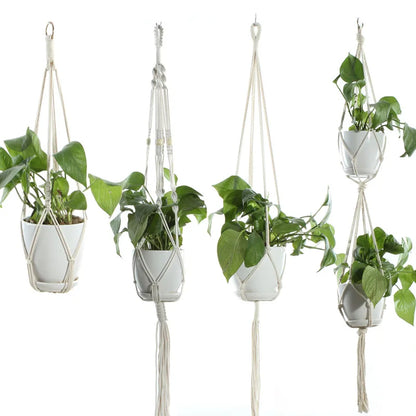 Indoor Plant Hanger Flower Pot