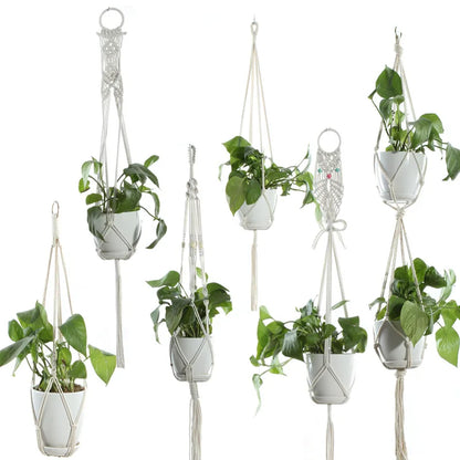 Indoor Plant Hanger Flower Pot