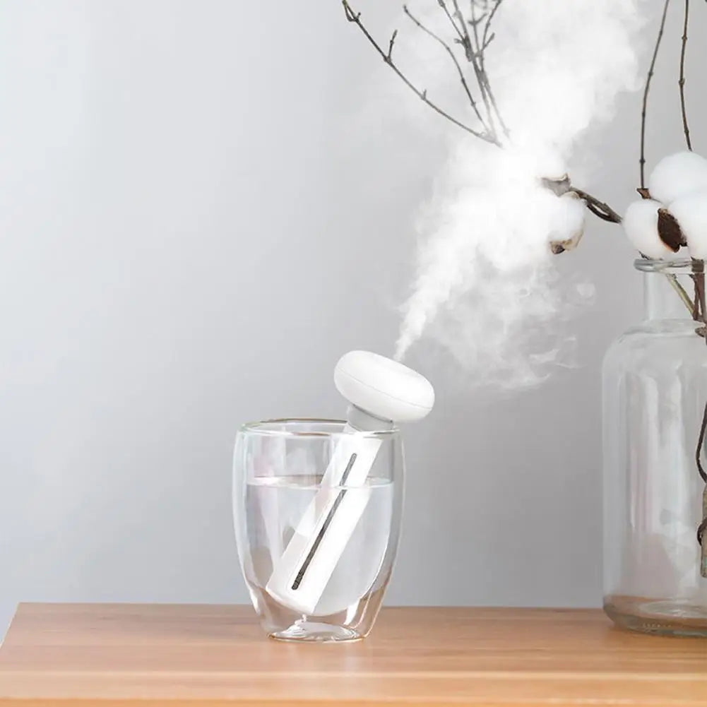 Mini Diffuser Humidifier